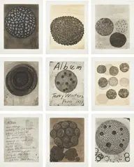 Terry Winters, Album, 1988, The complete set of nine etchings, on Hahnemüle paper, with full margins, including title page and justification, lacking the original portfolio