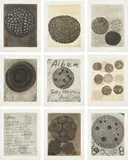 Terry Winters, Album, 1988, The complete set of nine etchings, on Hahnemüle paper, with full margins, including title page and justification, lacking the original portfolio