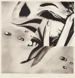 James Rosenquist, Zone, 1972, Lithograph, on Hodgkinson handmade paper, with full margins