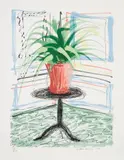 A Bigger Book, Art Edition C by David Hockney, 2010/2016, iPad drawing in colours, printed on archival paper, with full margins, with the illustrated 680-page chronology book, nu, sold Oct 2020