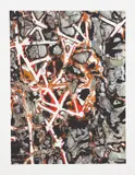 Mark Bradford, Untitled, 2012, Inkjet print in colors with spot printing and applied texture, on wove paper, with full margins