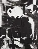 Adam Pendleton, if the function of writing is to express the world