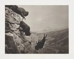 David Wojnarowicz, Untitled (Buffaloes), 1988/1994, Platinum print on rag paper, with the original wove paper folio, lacking the original artist's text sheet