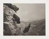 David Wojnarowicz, Untitled (Buffaloes), 1988/1994, Platinum print on rag paper, with the original wove paper folio, lacking the original artist's text sheet