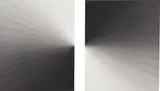 Talia Chetrit, Grayscale (diptych), 2008, Gelatin silver print diptych