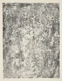Jean Dubuffet, Jardin de terre (Earthen Garden), from Territoires, plate 17 of album 7, from Les Phénomènes (Phenomenons), 1959/1962, Lithograph, on Arches paper, with full margins