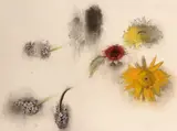 unknown Artist, Untitled (Flowers), 2010, Color lithograph on wove paper