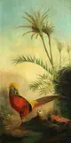 Continental School, A pair of Golden Pheasants in a landscape, oil on canvas