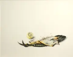 Stefan Beltzig, Fish with lemon, pencil and colored pencil on paper