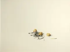 Stefan Beltzig, Walnuts and cigarettes; Pistachios and cigarettes (2)
