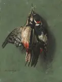 Benjamin Raspail fils, Pics épeiches (Great-spotted woodpeckers); Grives litornes (Fieldfare thrushes) (a pair)