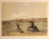 George Catlin, Catching the Wild Horse, Pl. 4, from the North American Indian Portfolio, 1844-45, Handcolored lithograph on heavy wove paper, the regular edition