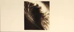September, from Wave Portfolio by Robert Longo, 2001, Lithograph on cream wove paper, offered Feb 2013