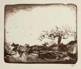 Horst Janssen, Willow Tree Landscape (Kopfweiden landschaft), 1971, Color lithograph on wove paper