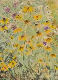Paul Maze, Black-Eyed Susans