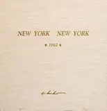 Akiko Shirai, New York, New York, 1992