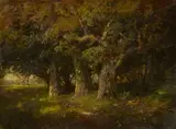 William Keith, Study of oaks