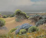 Theodore Wores, San Francisco dunes