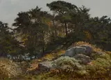 Albert Thomas Derome, Point Lobos cypresses, 1934; Point Lobos cypresses near North Point, 1935 (two)