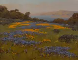 John Marshall Gamble, Poppies and lupine