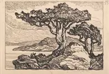 Birger Sandzén, Pines by the sea, 1924, conté crayon and graphite on paper
