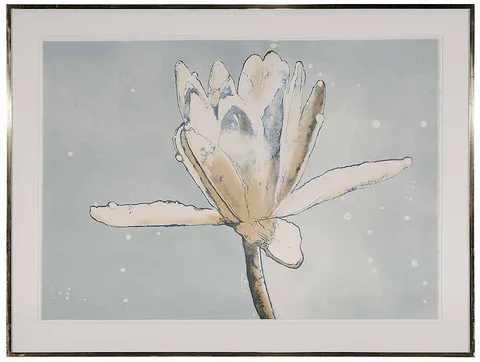 Joseph Raffael, Luminous Lily Dream, 1982, color lithograph on paper