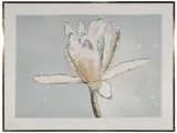 Joseph Raffael, Luminous Lily Dream