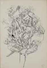 Patrick Swift, Tree Study, Ink
