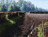 Eugene Conway, October Field In Sunlight, Oil on canvas