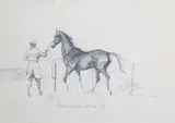 Peter Curling, Ballsbridge Sales