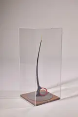 Evin Nolan, Sculpture, Mixed media in plastic case