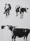 Sarah Walker, Cows, Mixed media on paper