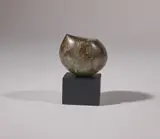 Sonja Landweer, Seed, Bronze