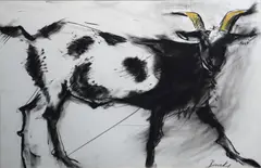 Study Of A Goat by Margo Banks, Charocal, sold Oct 2024