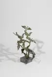 John Behan, Flight Of Birds, Bronze