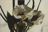 Rosemary McLoughlin, Anemones, Oil on board