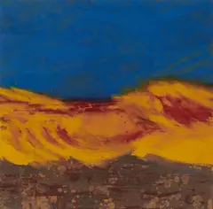 Camille Souter, Desert Shield - Gulf War, 1991