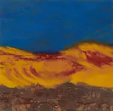 Camille Souter, Desert Shield - Gulf War