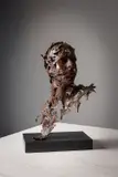 Linda Brunker, Face Of Leaves, Bronze