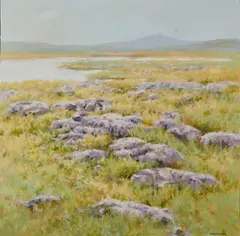 Trevor Geoghegan, After Summer Rain, Mear Mullaghmore (The Buren)