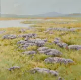 Trevor Geoghegan, After Summer Rain, Mear Mullaghmore (The Buren)