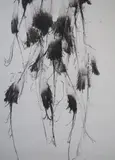 Patrick Scott, Drawing, 1977, Ink on ingies paper