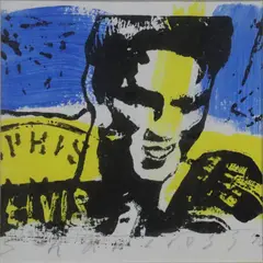 Neil Shawcross, Elvis, Mixed media