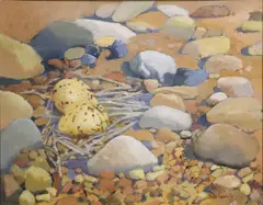 Rose Connelly, Oyster Catcher Eggs, Oil on board
