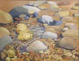 Rose Connelly, Oyster Catcher Eggs, Oil on board