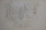 Melanie Le Brocquy, Parkland, Pen
