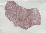 Wendy Judge, Exponential Growth, 2020, Drawing