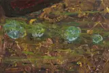 Barrie Cooke, Lake Algae