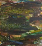 Barrie Cooke, Lough Arrow Algae