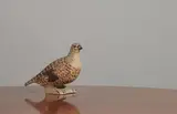 Grouse by Oisín Kelly, Painted pottery, sold Jun 2023